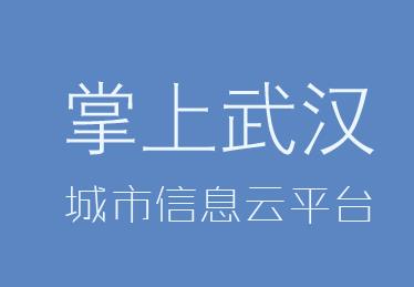掌上武汉手机客户端