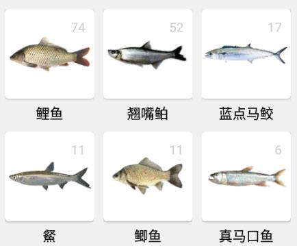 渔获潮汐天气预报