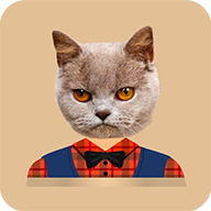 Cat Stickers