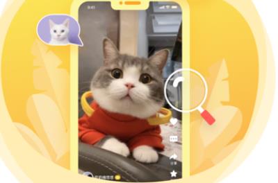萌语宠物短视频app
