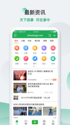 中国信鸽信息网截图
