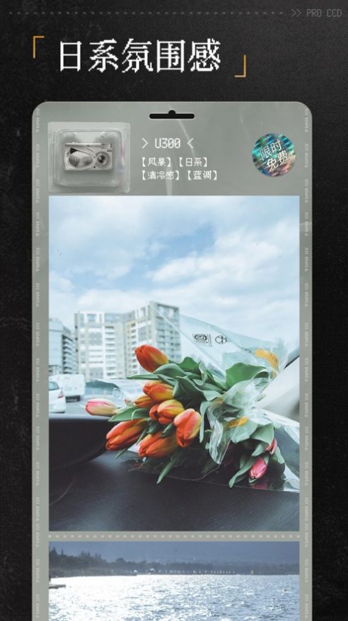 ProCCD复古CCD相机截图