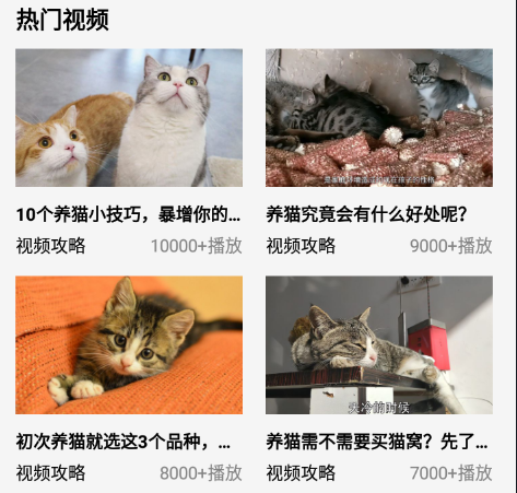 我的猫咪app