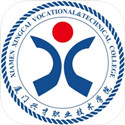 智慧兴才