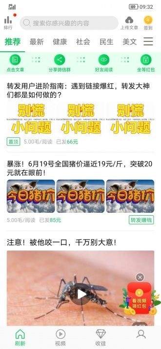多瓜转