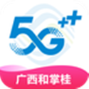 和掌桂