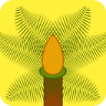铁树花appv7.5.0