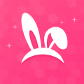 /app/sjlt/20221279.html