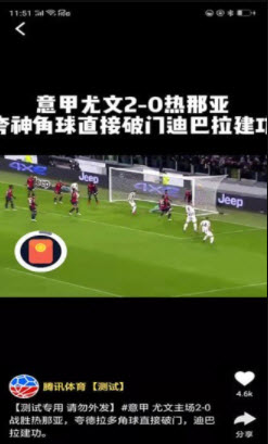 白头翁短视频