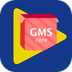 gms安装器最新版本
