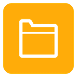 ds file