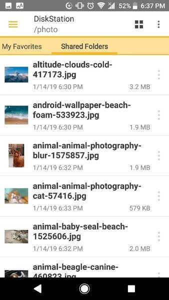 ds file