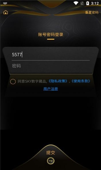 SKY艺术空间数字藏品官网版app至尊版  vl