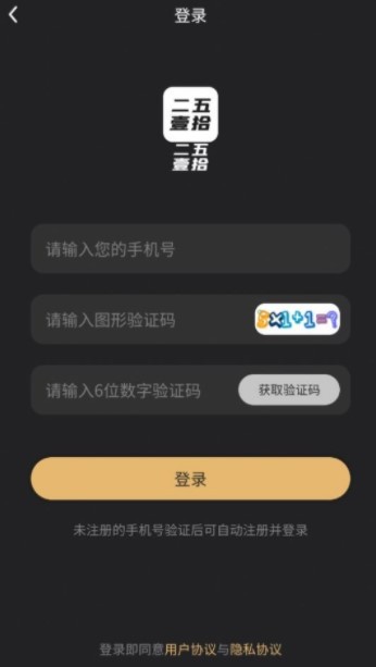 二五壹拾数字藏品