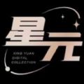 星元数字藏品平台