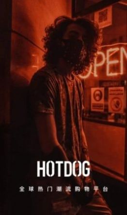 hotdog数字藏品最新版
