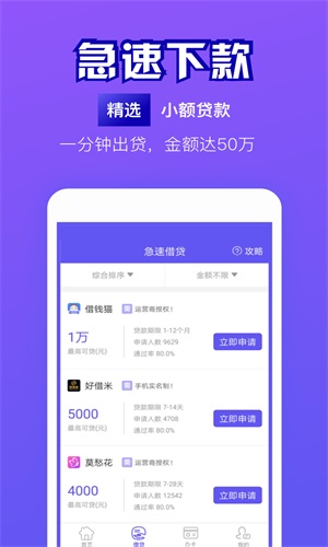 豆豆花小额贷款