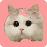 /app/zxyd/202211689.html