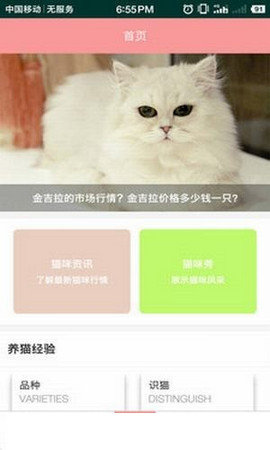 爱猫咪
