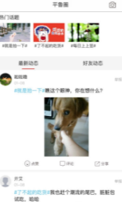 视听平鲁
