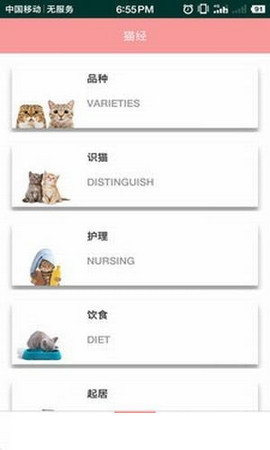 爱猫咪