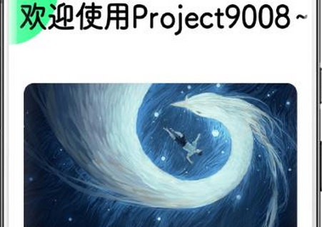 代号Project9008软件