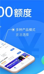 闪银奇异贷款