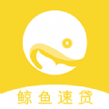 /app/jrlc/202213078.html