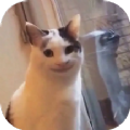 /app/sjlt/202214113.html