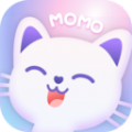 /app/sjlt/202215337.html
