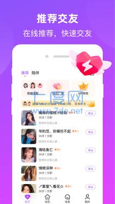 追爱交友