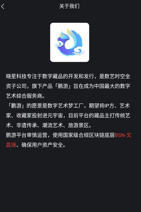 鹏游数字藏品