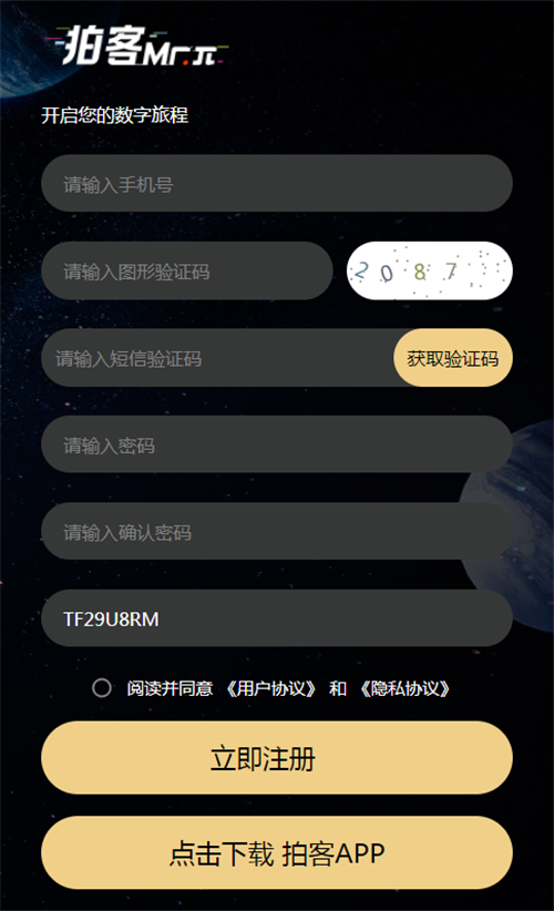 拍客mrπ数字藏品