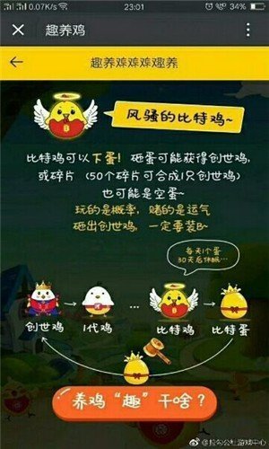趣养鸡免费版