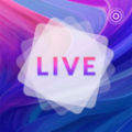 /app/zxyd/202220249.html