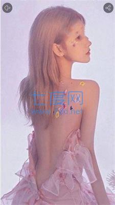 引擎壁纸麻匪