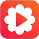 /app/zxyd/202221232.html