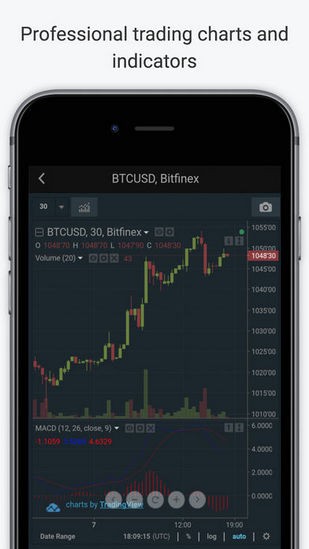 Bitfinex交易所app
