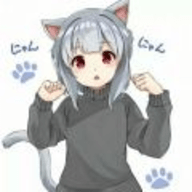 冷狐宝盒官网版