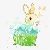 小兔子贷款