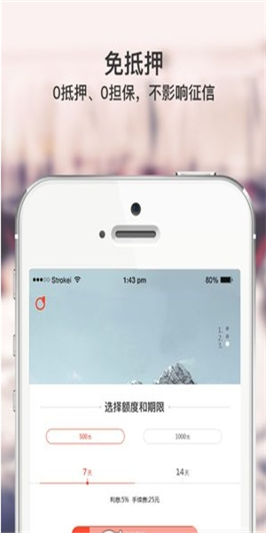 大粒贷
