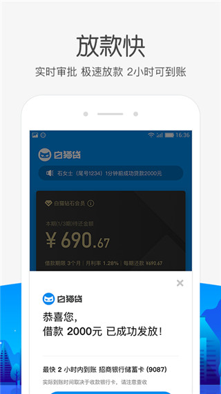 白猫贷