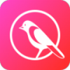 鹊桥交友app