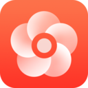 橙易花
