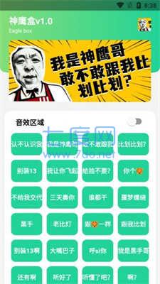 神鹰盒