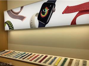 Wear OS智能手表内数据有望支持备份至Google One