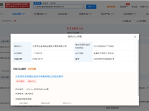 京东子公司叁佰陆拾度被强制执行117万