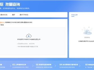 实时批量查询工具上线！一站式多维度分析网站数据