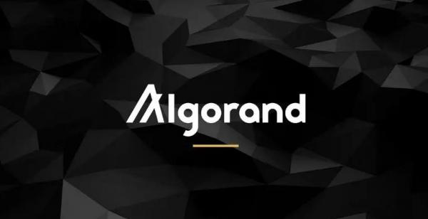 ALGO是什么 ALGO的发展史