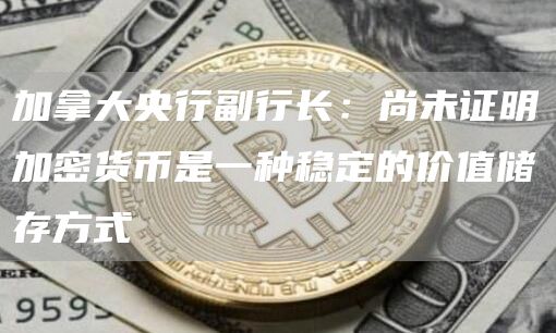 加拿大央行副行长：尚未证明加密货币是一种稳定的价值储存方式
